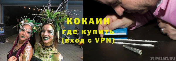 твердый Козловка
